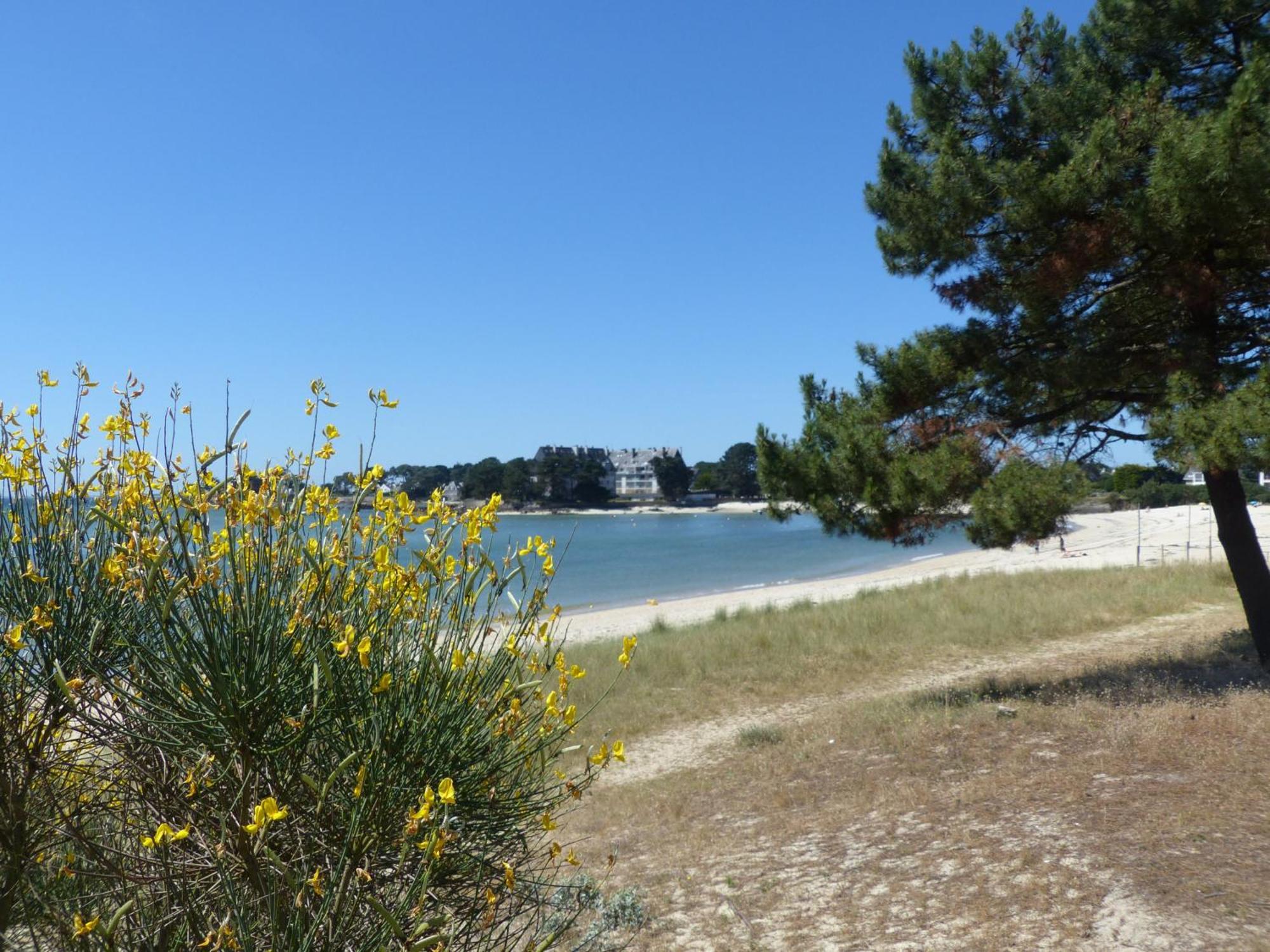 Mouettes 1 - 3 Pieces, Terrasse Vue Mer - T315 Carnac Exterior foto